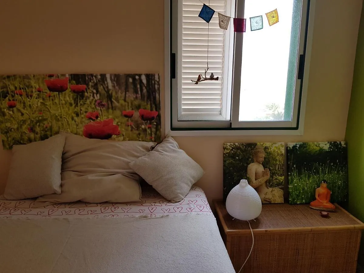 The Poppies Guest House - 100M Ocean - Private Spaces Candelaria 0*,  İspanya