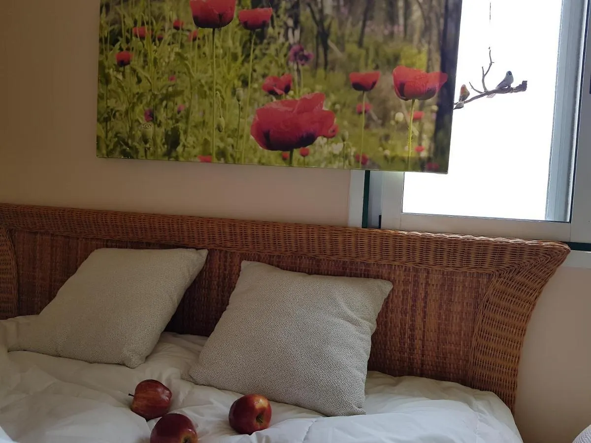 The Poppies Guest House - 100M Ocean - Private Spaces Candelaria
