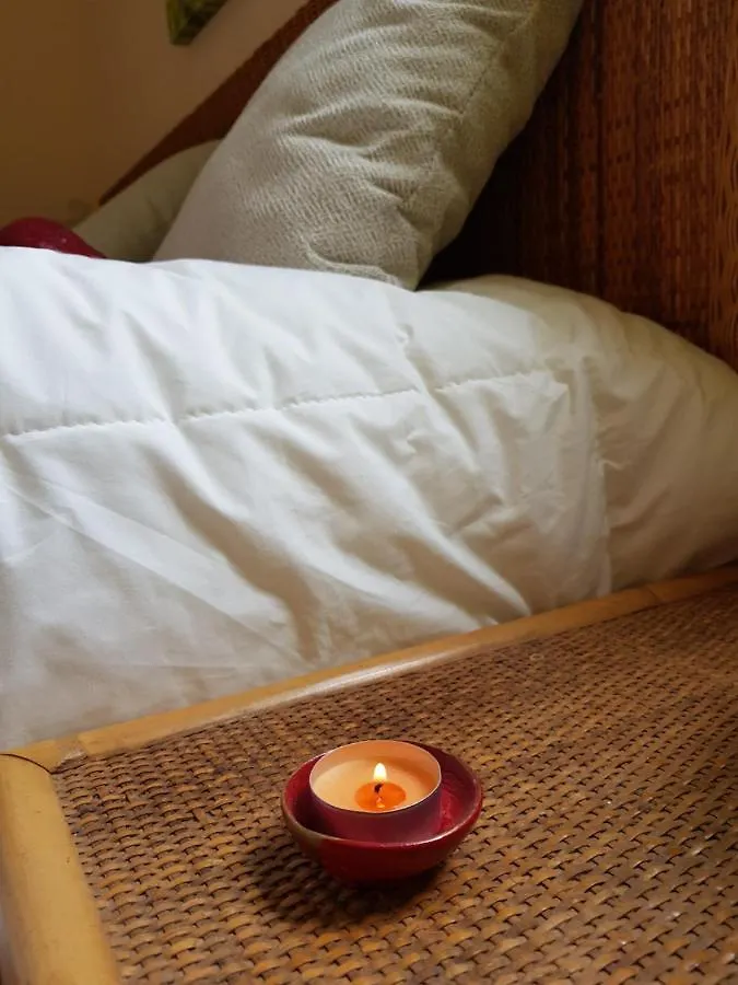 The Poppies Guest House - 100M Ocean - Private Spaces Candelaria