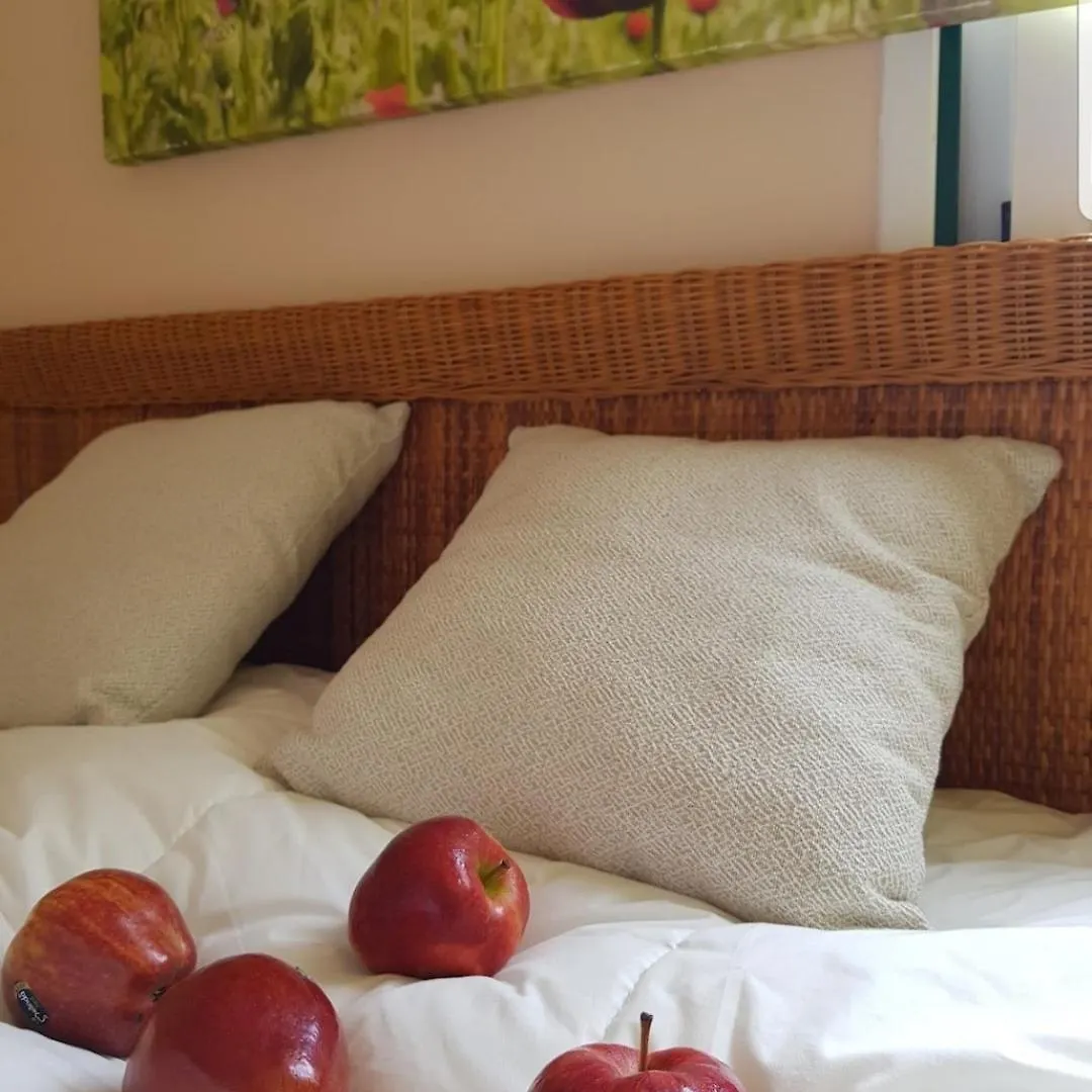 The Poppies 100M Beach - Private Bathroom - Welcome Cava 0*, Candelaria