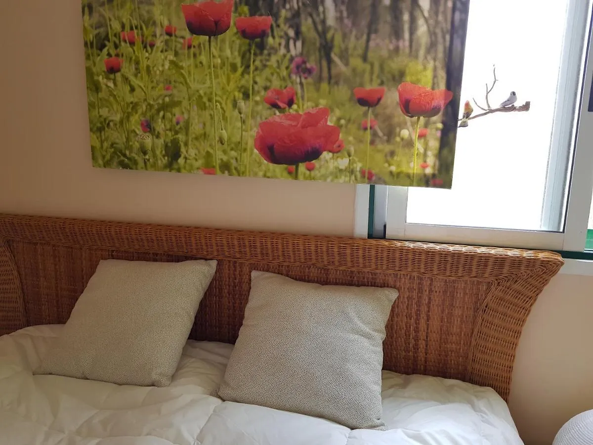 The Poppies Guest House - 100M Ocean - Private Spaces Candelaria Spain