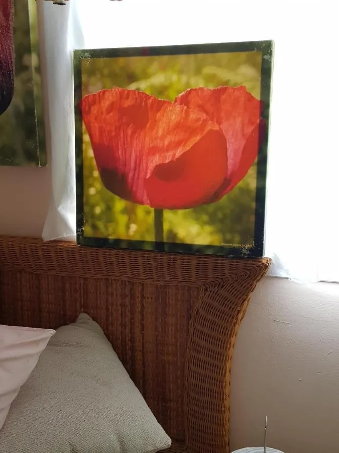 The Poppies Guest House - 100M Ocean - Private Spaces Candelaria