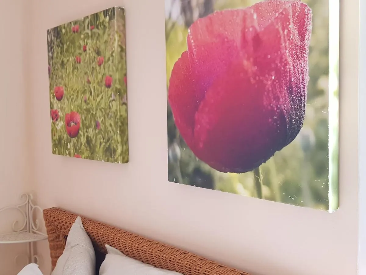 The Poppies Guest House - 100M Ocean - Private Spaces Candelaria 0*,  España